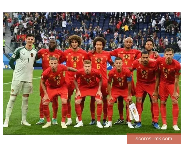 世界杯赛事预测与竞猜分析 全面剖析冠军争夺与关键比赛走势